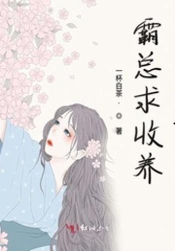 奈何霸总求收养,一场意外的收养奇缘