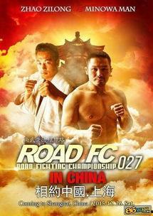 格斗与激情,一场视觉与情感的盛宴