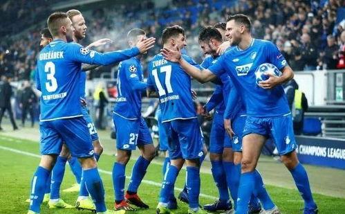 23-24赛季德甲第16轮：霍芬海姆vs达姆施塔特,德甲第16轮战报