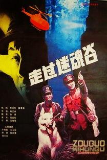 走过迷魂谷,一场惊心动魄的探险之旅