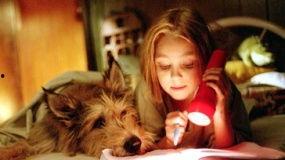 都是戴茜惹的祸,一场由误会引发的欢乐风波